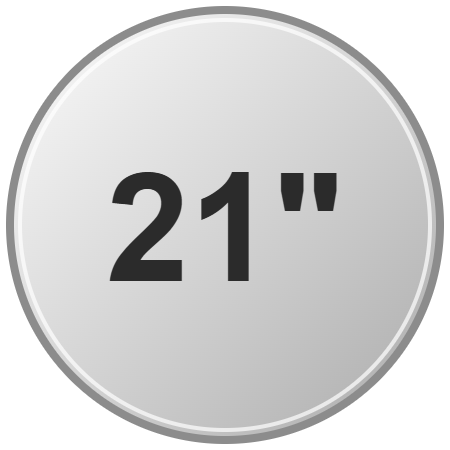Disky 21